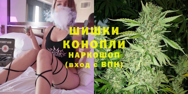 индика Богданович