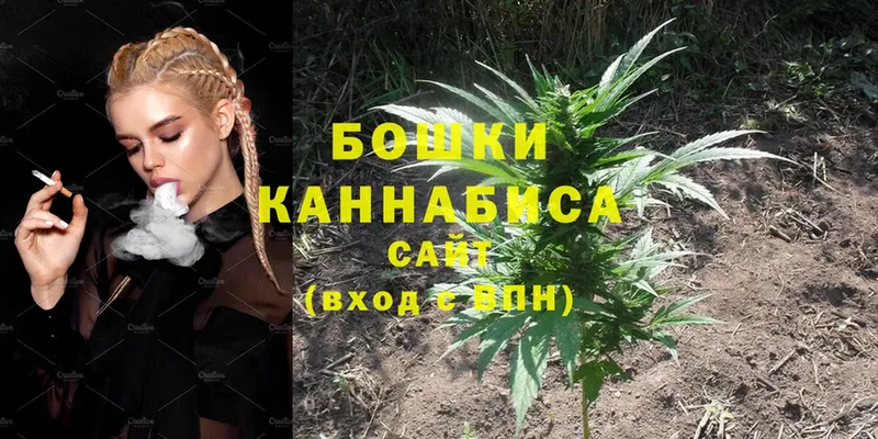 Бошки марихуана White Widow  что такое   Заринск 